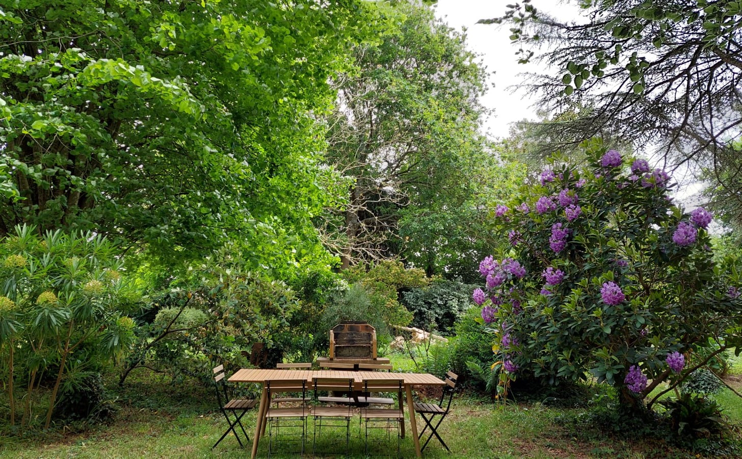 jardin2 table et chaises au milieu d'un beau jardin