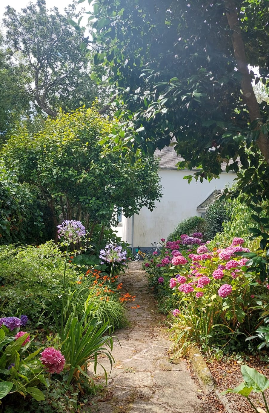 allée pavée aux bordures fleuries